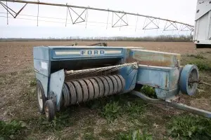 IMGL9885-300x200