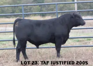 LOT23_2005_1000