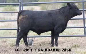 LOT28_235H-1170x738