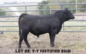 LOT33_201H-1170x738